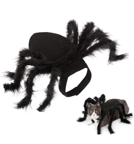 Halloween spider pet costumes - spider,