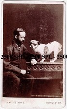 Dog CDV Photograph of Staffordshire Bull Terrier Type + Man Sat Beside c.1890