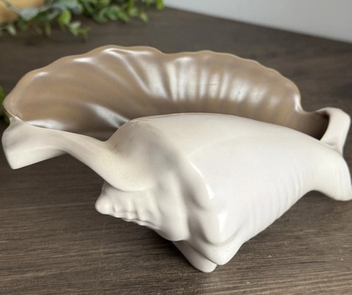 Vintage poole pottery conch - vintage,