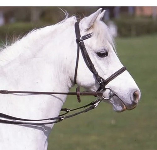 Grass reins anti - grass,
