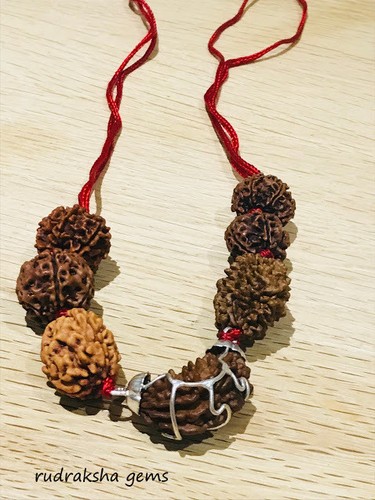 Rudraksh rudraksha 4 - rudraksh, 5