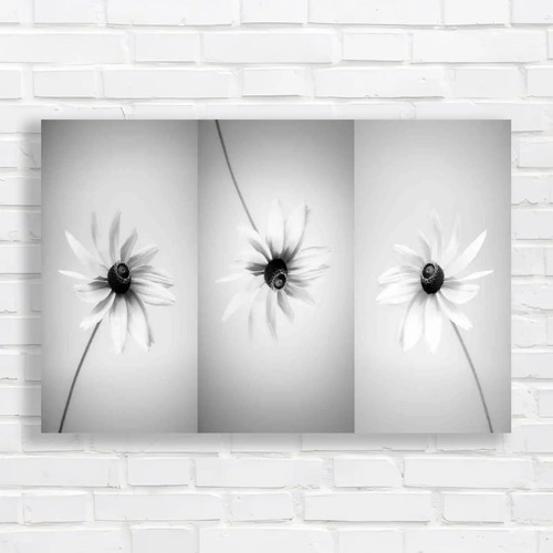 Abstract desaturated daisy - abstract,