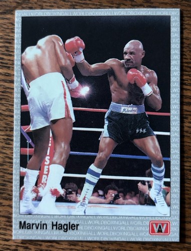 1991 sports all - sports,