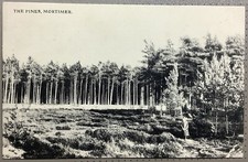 Mortimer Common 1907 The Pines Reading Berkshire E Jackson Edwardian Postcard 