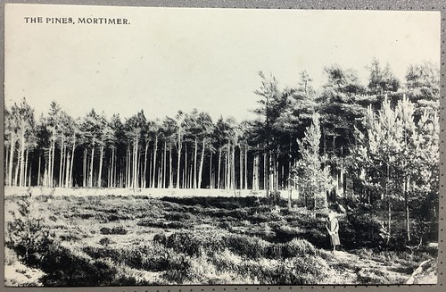 Mortimer common 1907 the pines - mortimer,