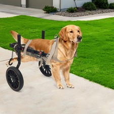 Pet Walk Booster Dog Wheelchair Disability Adjustable Dog Hind Legs Bracket