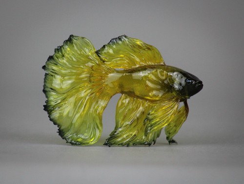 Clearware ooak betta - clearware, fish