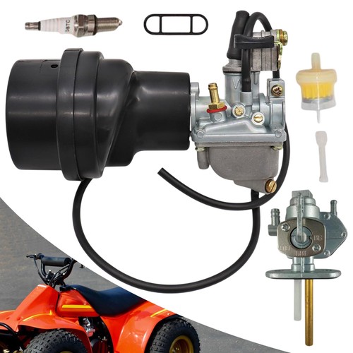 Carburetor with air filter box - with,