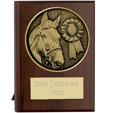 Horse Pony Gymkhana Show