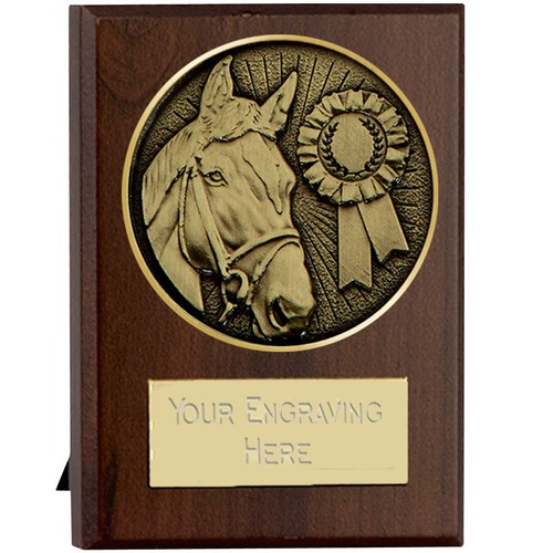 Horse pony gymkhana show - horse,