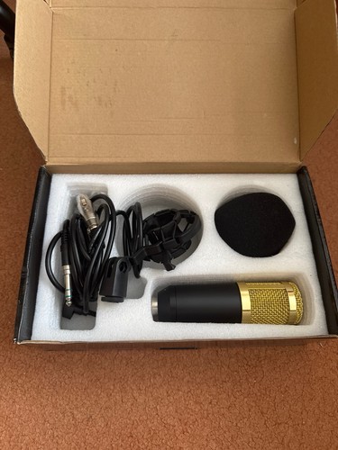 Studio condenser microphone - studio,