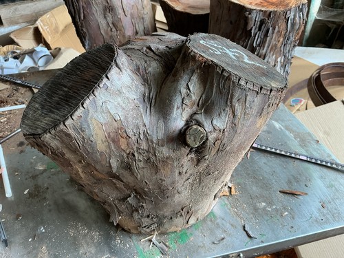Yew block huge - yew,yew,