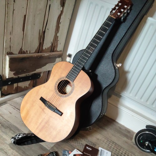 Taylor nylon string thin - nylon, string,