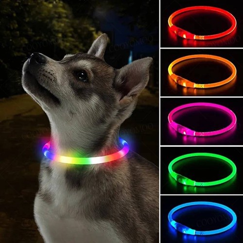 Light dog collar - collar, pet