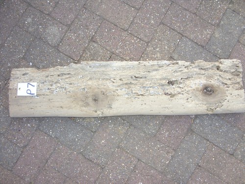 Large driftwood - large,