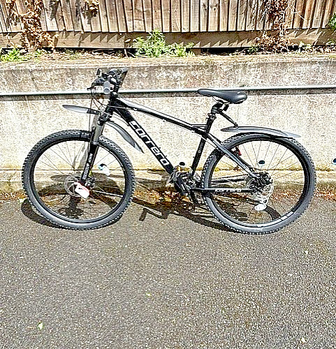 Carrera vengeance excellent - vengeance.,