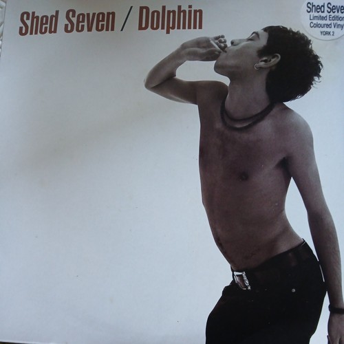 Shed seven dolphin - dolphin, super