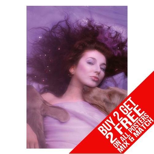 Kate bush bb2 poster - bush, art