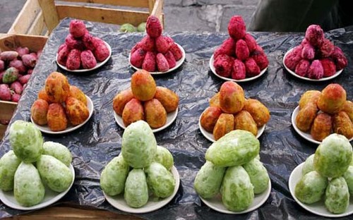 Prickly pears trio colors - trio, of