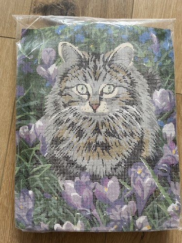 Cat amongst the crocuses - cat,