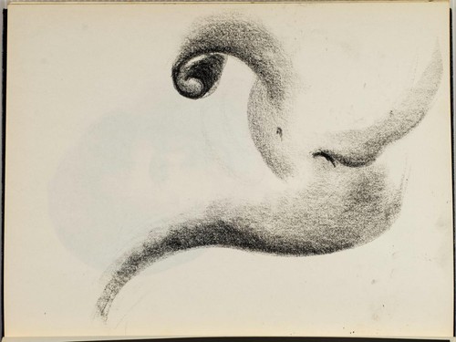 Graphite pencil drawing - pencil, on