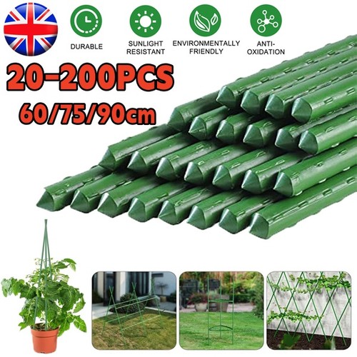 200x green garden plant - green,