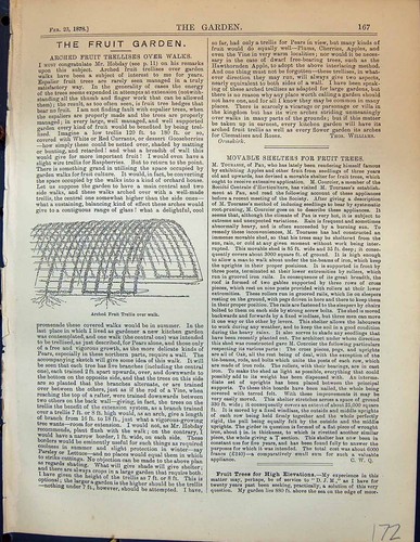 Original old antique print - original,