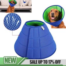 Pet Recovery Lightweight Dog