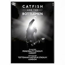 Catfish And The Bottlemen UK