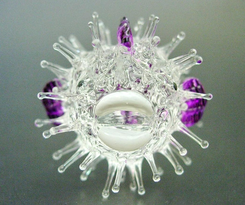 Spiky glass fish - glass,