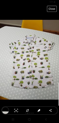 Lola maverick boys dinosaur - maverick,