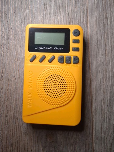 Portable mini dab digital - mini, fm