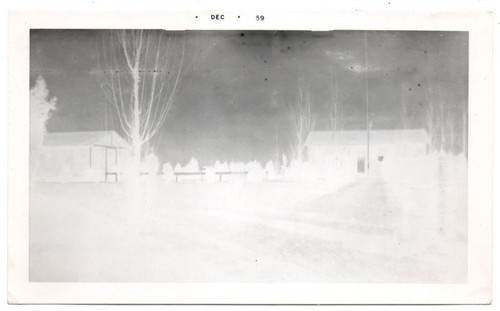Trees buildings exposed - trees,