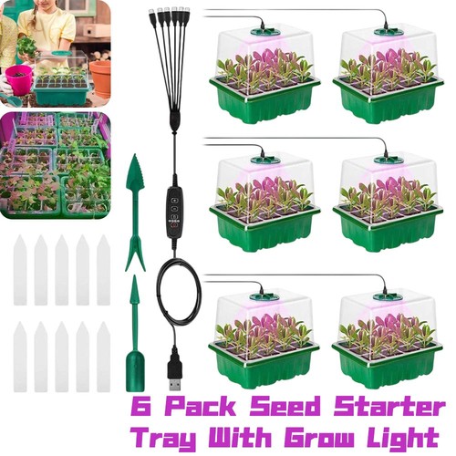 6pcs seed starter kit with - seed,