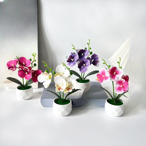 Fake orchid plant - orchid,