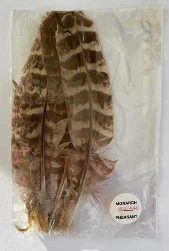 Hen pheasant quills for - , fly