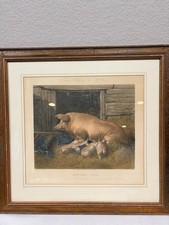 Antique sow and pigs - pigs, by
