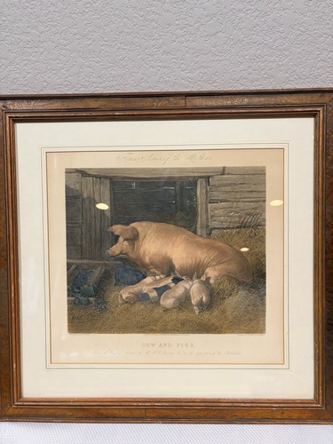 Antique sow and pigs f - sow, by