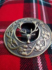 Stag head fly - stag,