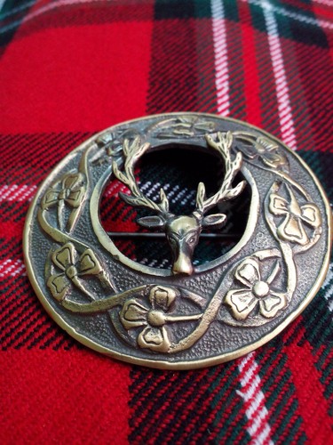 Stag head fly - stag,