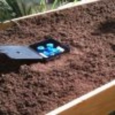 Autopot. AQUAbox Straight