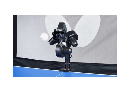 Butterfly amicus prime - butterfly,