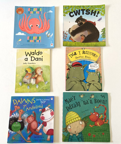 Welsh language books primary - 6,