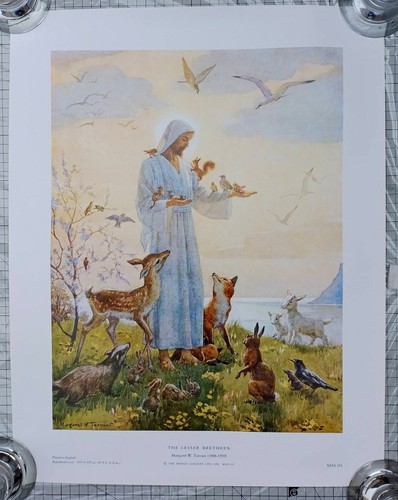 Margaret winifred tarrant - winifred,