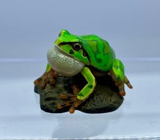 Choco Q Japanese Tree Frog