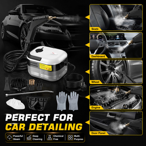 High pressure steam cleaner - high,