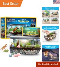 Interactive Dinosaur Habitat