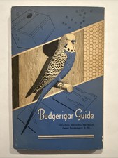 Budgerigar Guide Detailed