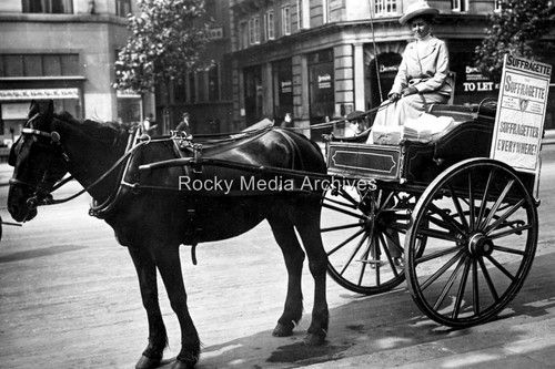 End suffragette horse and - end-85,