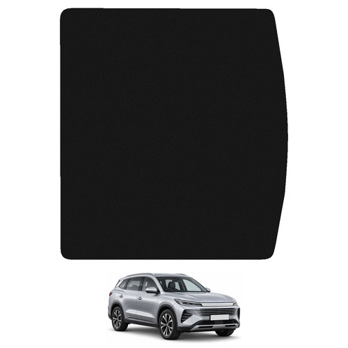 Carsio tailored carpet car - carpet,